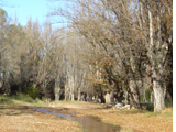 Paisaje