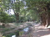 Paisaje
