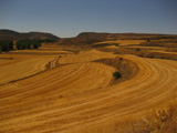 Paisaje