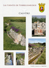 Fotograf&iacute;as de Joaqu&iacute;n Reyes - Las fuentes de Torre los Negros - Teruel